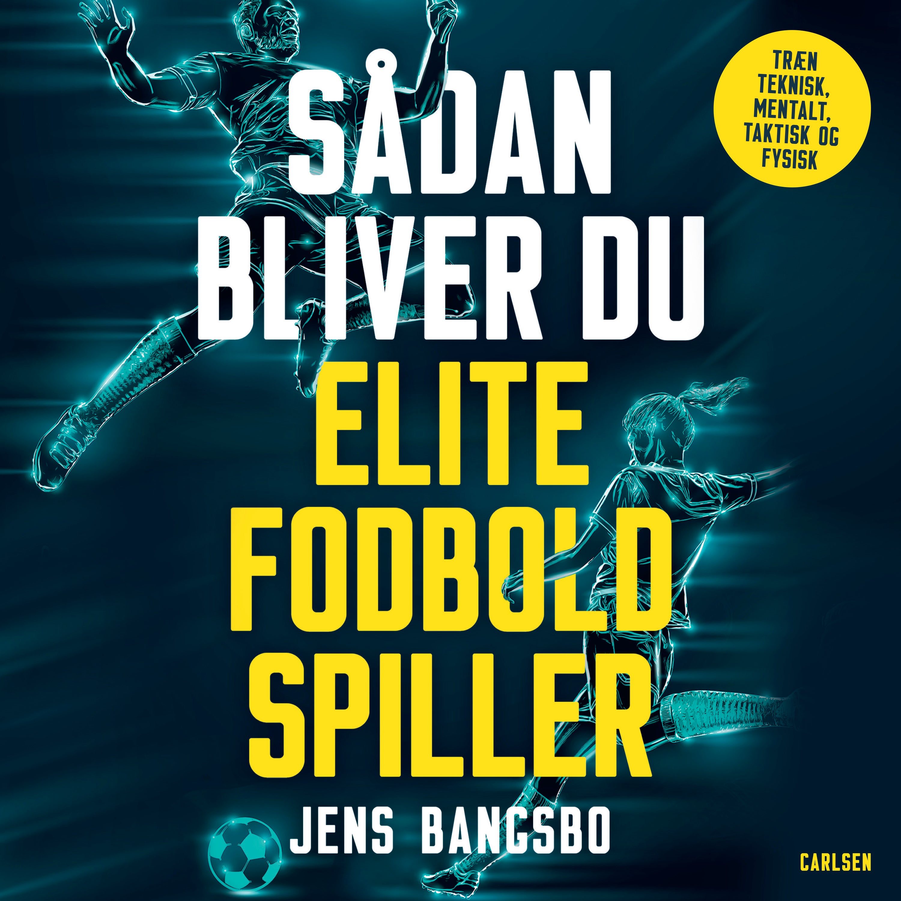 Forside billede